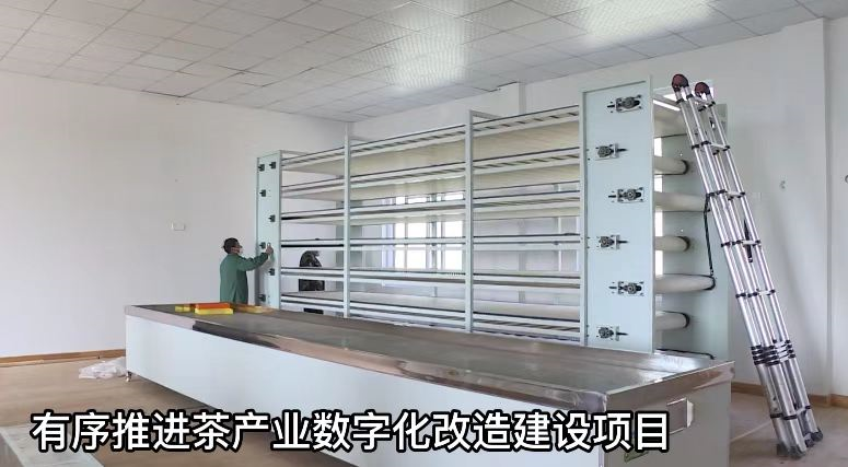 有序推进茶产业数字化改造建设项目