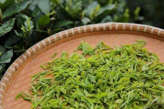 炒青绿茶与绿茶的区别，烘青和炒青哪个好喝？