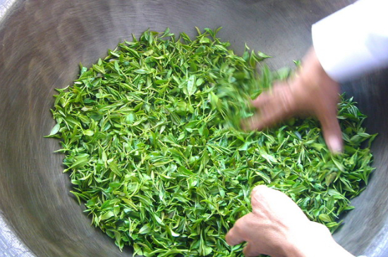 绿茶加工工艺流程图，绿茶的加工制作包含哪几个步骤？