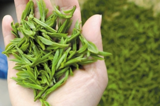 潮汕炒茶属于什么茶，潮汕炒茶是绿茶吗？