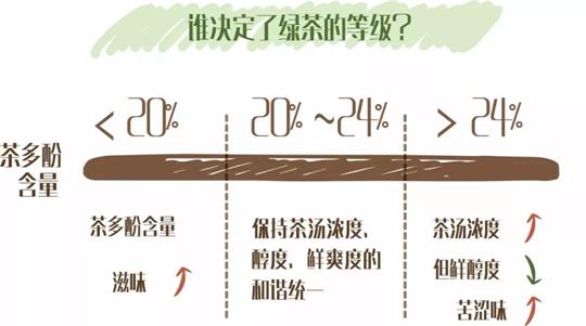 什么绿茶口味重口感浓郁，口味比较重的绿茶都有那些？