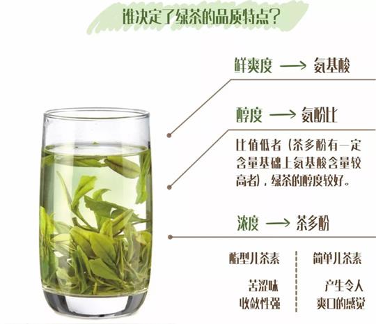 什么绿茶口味重口感浓郁，口味比较重的绿茶都有那些？