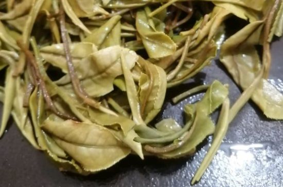 春茶上市白茶的好坏怎么区分，春白茶怎么分辨好不好？