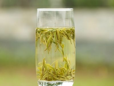 霍山黄芽算是好茶吗，霍山黄芽属于什么茶？