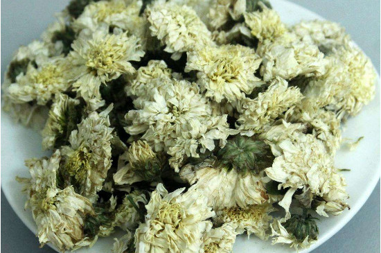 菊花茶买小朵还是大朵，泡茶用的小菊花和大菊花哪个好