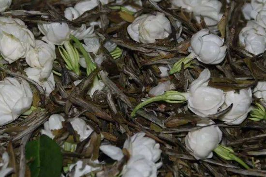 茉莉龙珠怎么做的，茉莉龙珠的制作工艺