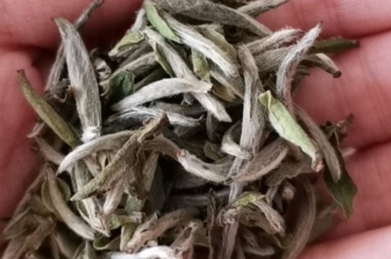 如何买茶叶不上当，怎么买茶叶不被坑？