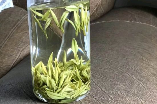 安吉白茶夏天怎么保存，安吉白茶能冷冻储存吗？