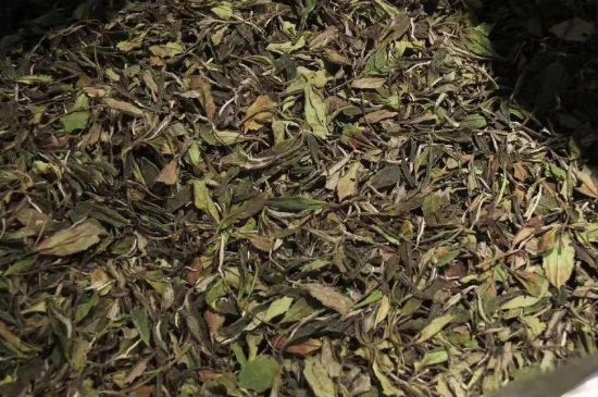 陈茶还是新茶好，茶叶是新茶好喝还是陈茶好喝