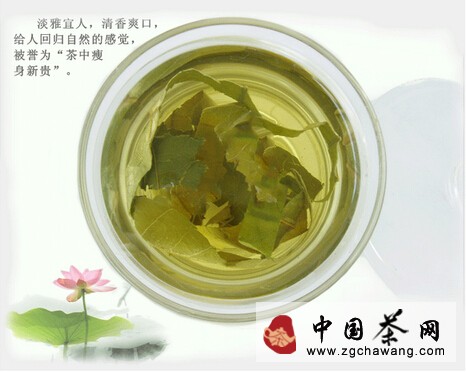 击退高温 5款消暑茶最适合女性解暑 荷叶茶