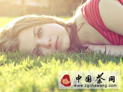  清肝明目降血压 淡雅菊花养生功效强大 