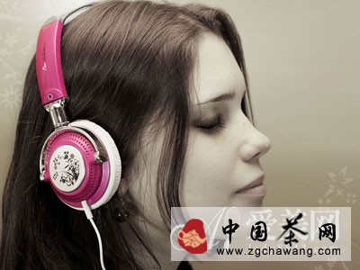  清肝明目降血压 淡雅菊花养生功效强大 