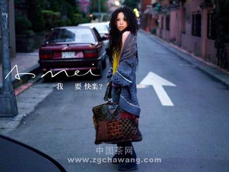 张惠妹