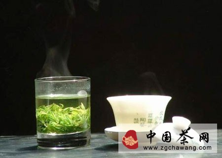 苦丁茶属于什么茶