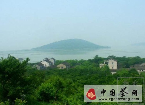 碧螺春产地:东洞庭山