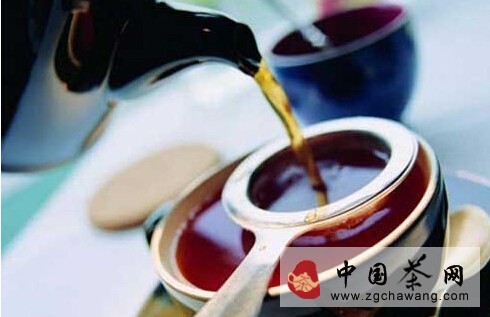 茶和水的比例多少适宜