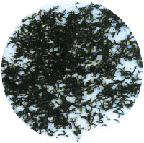 助您瘦身的七道绿茶