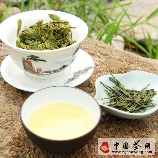 决明枸菊茶 