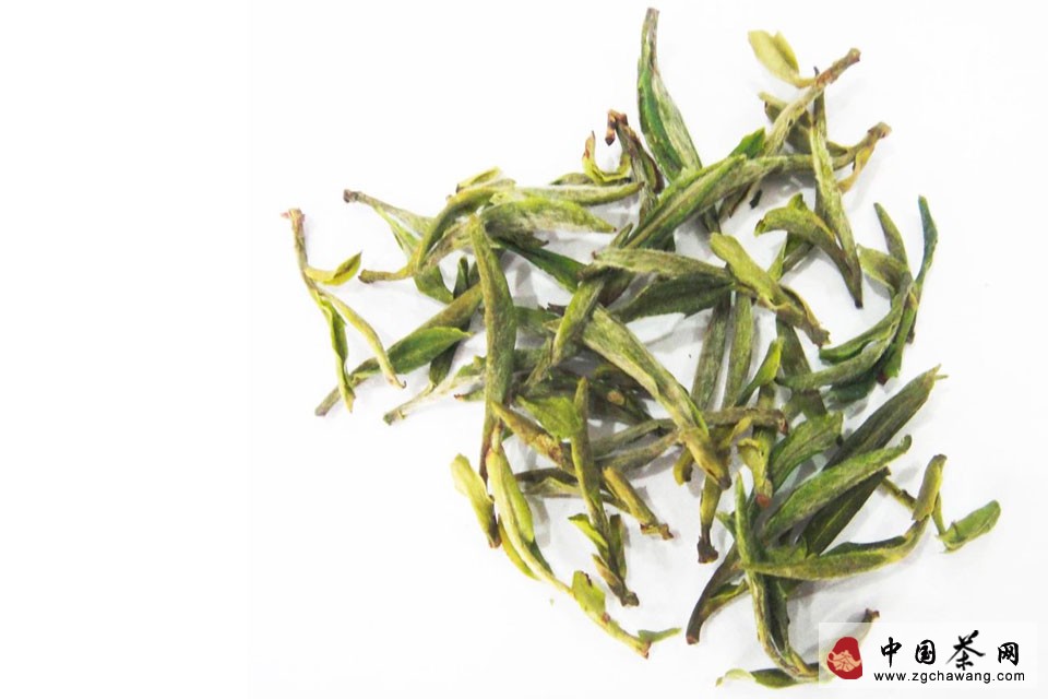 霍山黄芽茶叶茶芽图片