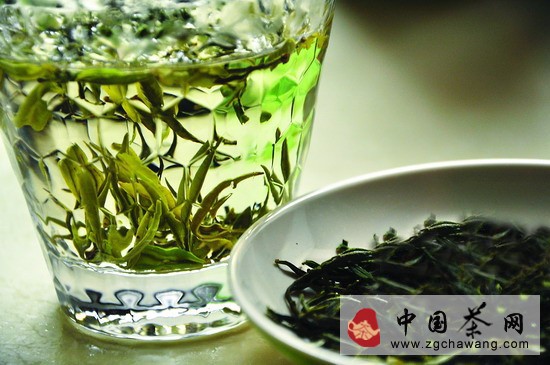 怎么根据茶性选择冲泡