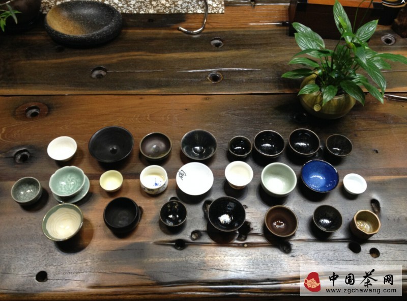 蒲雄斌,为喝茶而喝茶厦门茶友会