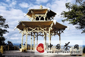 建在里约热内卢蒂茹卡国家公园的中国亭即是对１８１２年来此传艺的中国茶农永久性的纪念。