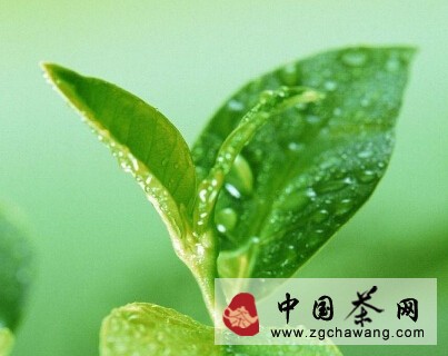 QQ截图20140807083715