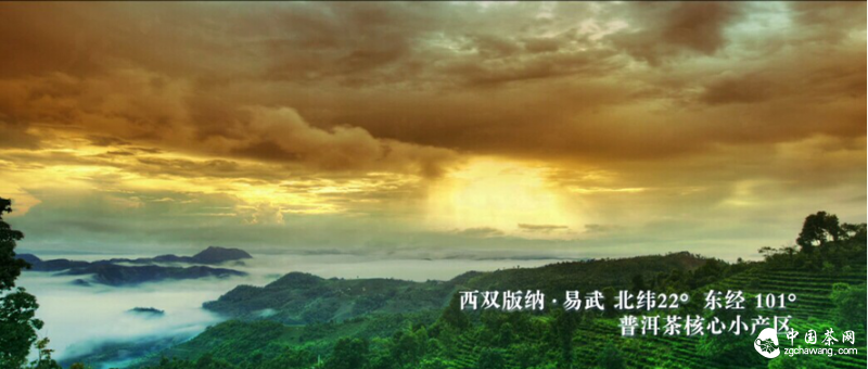 易武普洱茶名扬天下，茶山层峦迭起云雾缭绕、壮丽大气