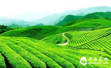 QQ截图20140920091953
