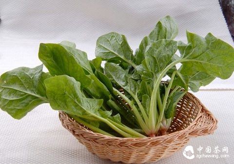 菠菜含有丰富维生素C、胡萝卜素、蛋白质，以及铁、钙、磷等矿物质。可养血滋阴，对春季里常因为肝阴不足引起的高血压、头痛目眩、糖尿病和贫血等都有较好的治疗作用。因此，是春天里的一种绝佳的养生蔬菜。