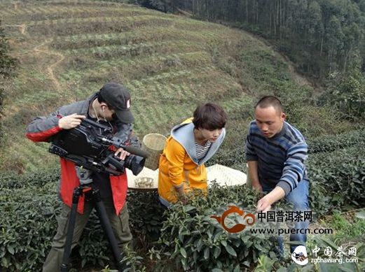 四川电视台《吃八方》栏目摄制组走进茶祖故里名山