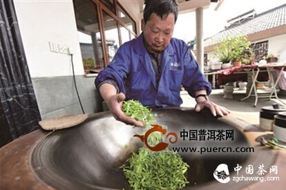第一锅西湖龙井春茶开炒