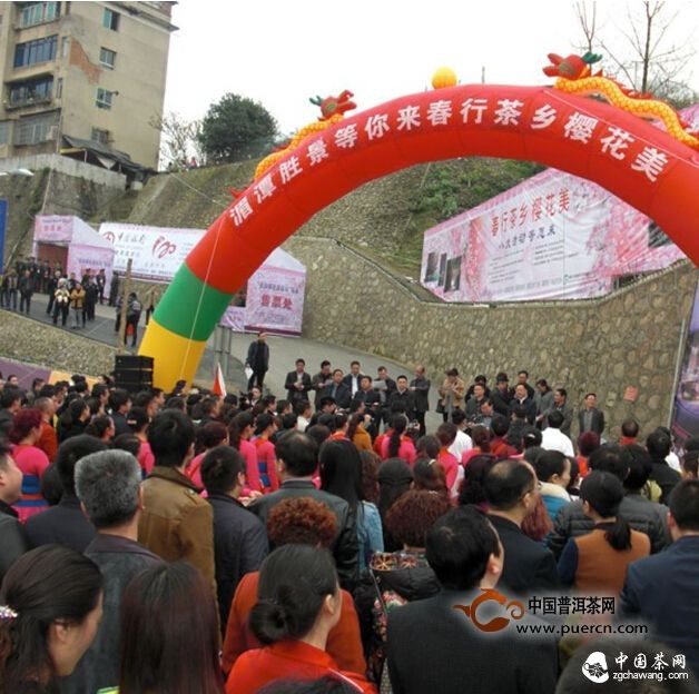 党员干部徒步赏花品茗助推湄潭茶旅产业发展