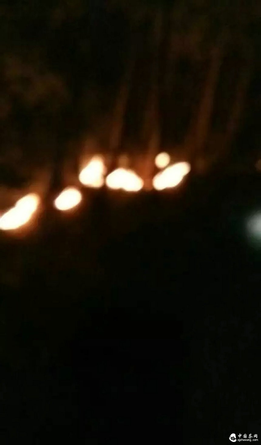 弯弓火灾明火已灭，受灾茶园上千亩！弯弓寨卢队长播报最新状况