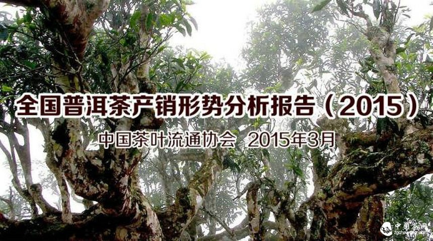 全国普洱茶产销形势分析报告（2015）