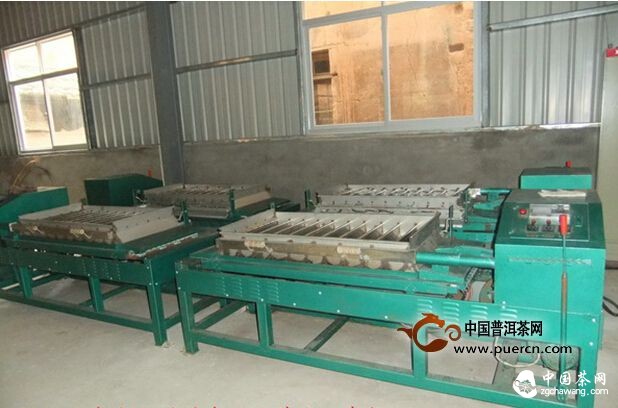 上杭南阳镇外出乡贤返乡创业发展安吉白茶生产