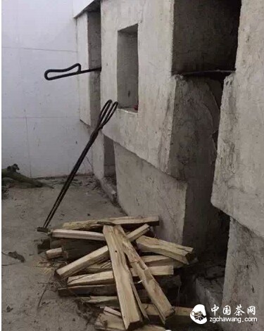 【茶播报】3月26日春茶播报 