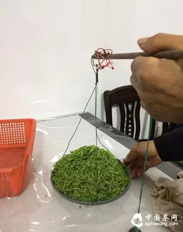 【茶播报】3月26日春茶播报 