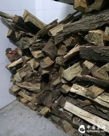 【茶播报】3月26日春茶播报 