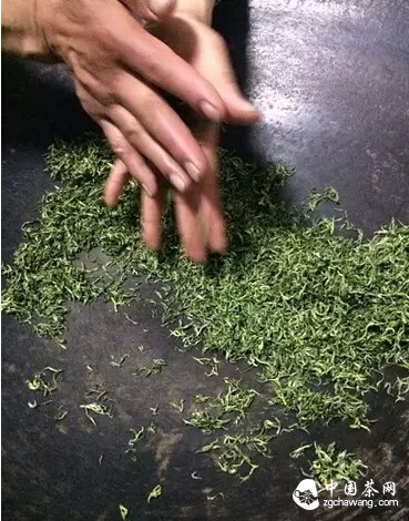 【茶播报】3月26日春茶播报 