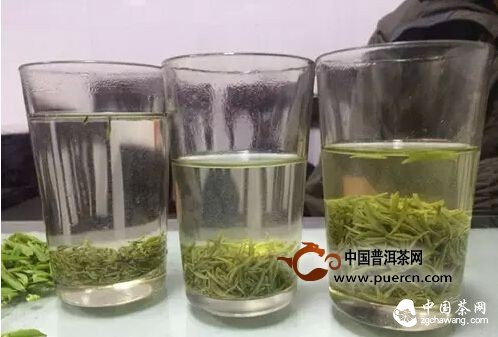 【茶播报】3月26日春茶播报 