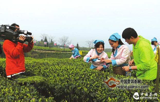 泸州纳溪跻身四川茶产业十强