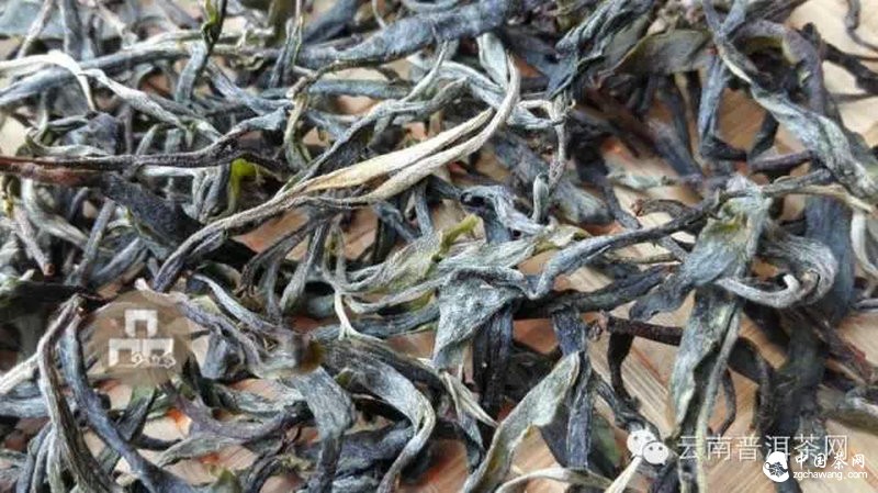 2015云南茶山全程实录 千里足迹