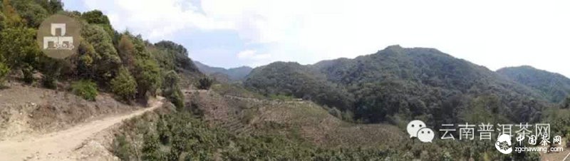 2015云南茶山全程实录 千里足迹