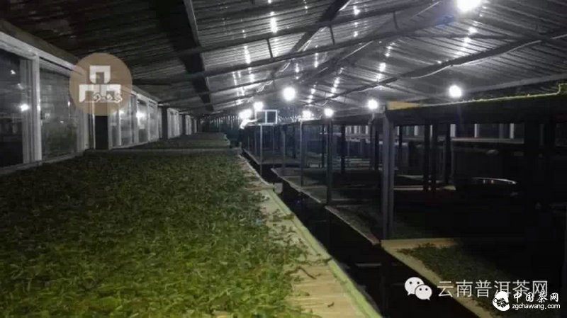 2015云南茶山全程实录 千里足迹