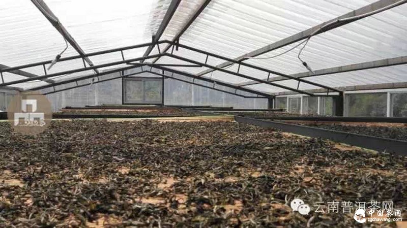 2015云南茶山全程实录 千里足迹