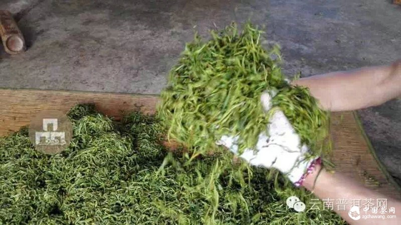 2015云南茶山全程实录 千里足迹