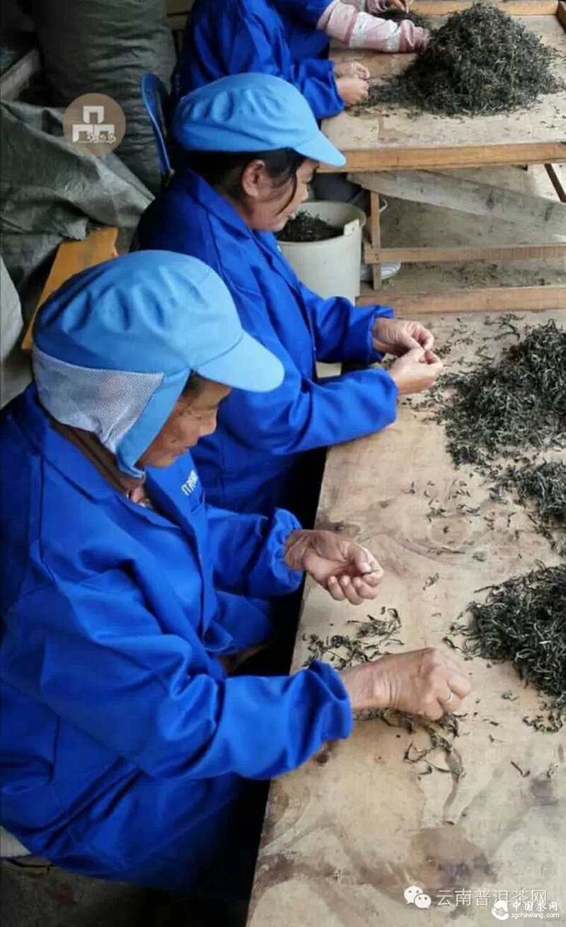 2015云南茶山全程实录 千里足迹