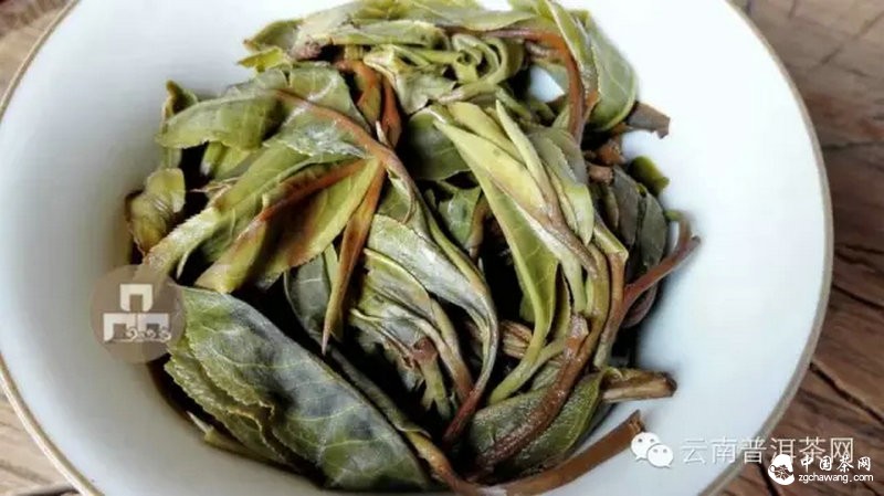 2015云南茶山全程实录 千里足迹