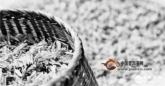 杭州龙坞茶农:雨前西湖龙井茶也还是不错的